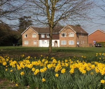 Bisley, Woking - Photo 3