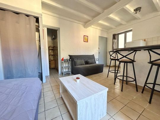 Location Appartement 1 pièce 25m² AMELIE LES BAINS PALALDA 66110 - Photo 1