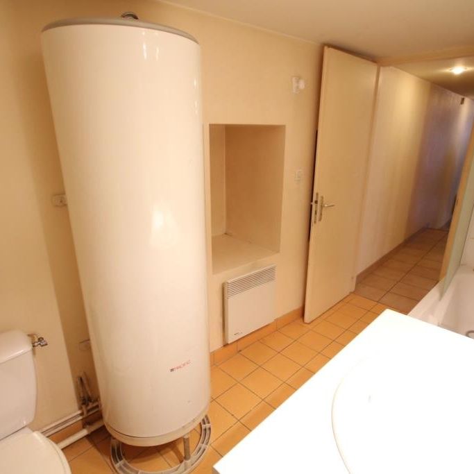 Location Appartement 3 pièces 52m² VILLEFRANCHE SUR SAONE 69400 - Photo 1