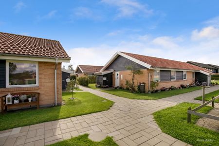 Attraktivt 1-plans rækkehus med egen have og parkering - Foto 3