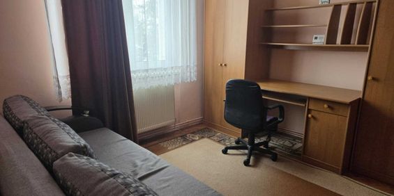 Apartament cu 2 camere, Dambu Pietros - Fotografie 3