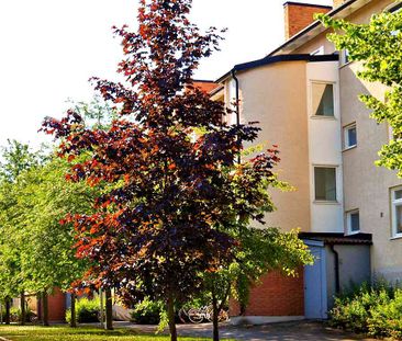 1 RUM KOKVRÅ - Photo 1