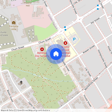 141a Thistle Street, Vic 3555, Golden Square