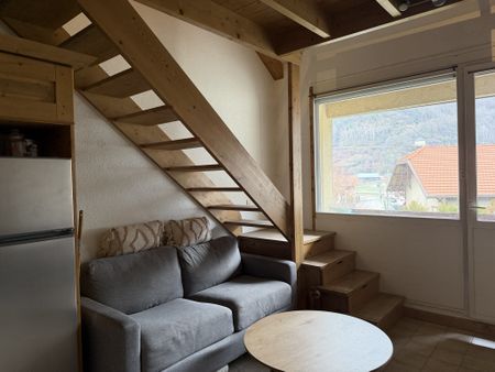 Location Appartement 2 pièces 33m² ALBERTVILLE 73200 - Photo 4