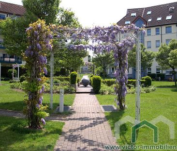 ** Werder an der Havel * Erdgeschosswohnung mit Terrasse ** - Foto 5