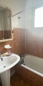 Location Appartement 1 pièce 25m² GRENOBLE 38000 - Photo 4