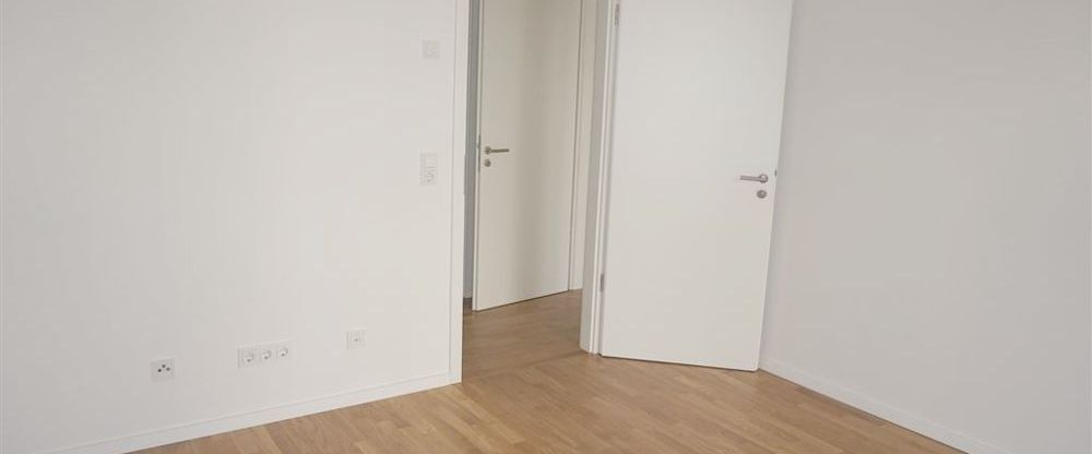 Trier: Wohnen an der Mosel – moderne 3 ZKB Erdgeschosswohnung mit Einbauküche und Terrasse - Foto 1