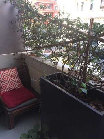 Très bel appartement de 3.5 pièces à Malagnou - Foto 3