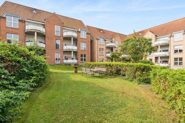 Sprit nyt lækkert køkken - Photo 1