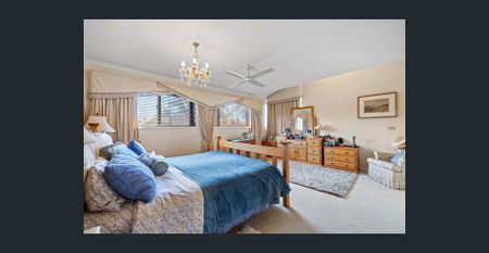 Luxury Executive Family Home with Pool on Large Block in Birkdale - Photo 5