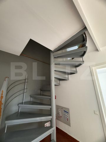 Casa individuala, 330 mp, 6 locuri parcare, Zorilor - Fotografie 4