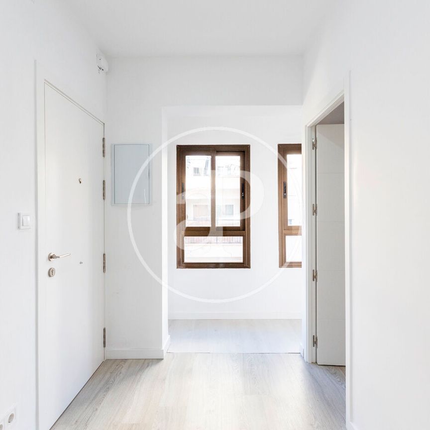 Apartment for rent in Palma - Photo 1