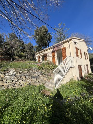 Location Maison 3 pièces 43m² MIOMO 20200 - Photo 4