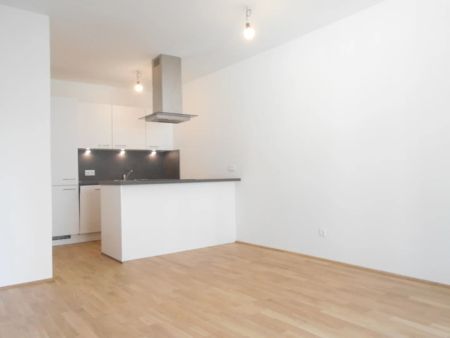 Q5 am PARK 3ZI ruhige Innenhoflage, sonniger West/Balkon - Photo 4