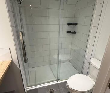 126 Rue Mont Royal - Photo 4