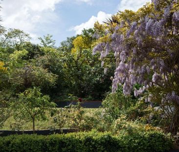 Sunny Elevated Home Near Tahunanui Beach – Privacy, Views and Chara... - Photo 3