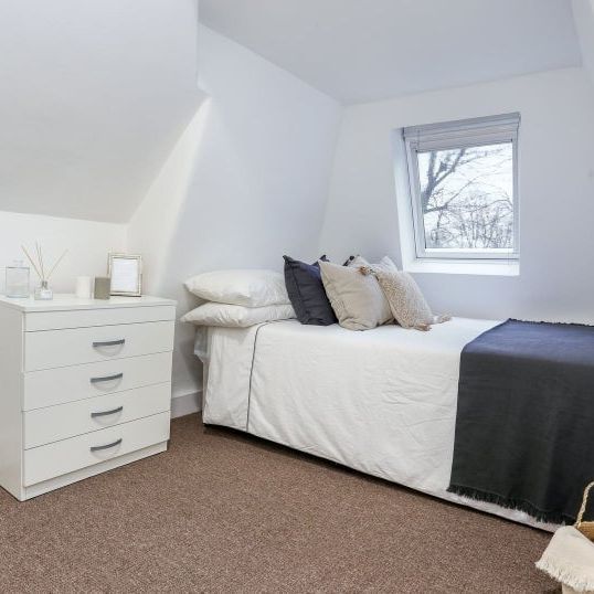 Room in a Shared Flat, Acton Ln, W4 - Photo 1