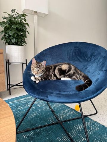 Glendalough - Photo 2