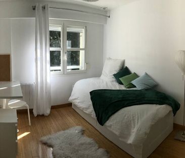 Coloc 6 ch meublées Etudiant 5' à pieds des Facs - Photo 1