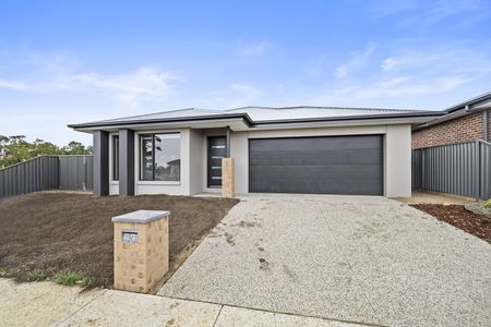 LOW MAINTENANCE LIVING IN THE HEART OF LUCAS - Photo 2
