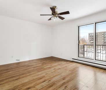 6147 Rue Jarry E. - Photo 3