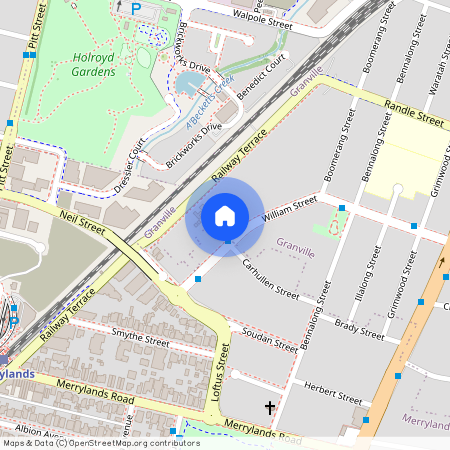 4/217-219 William Street, NSW 2142, Granville