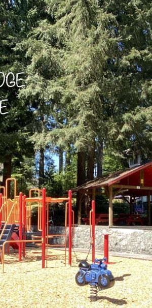 Blueridge Apartments - Photo 1