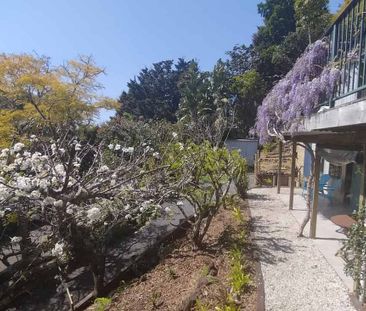 Charming Opua Stuido Unit w/ Garden - Photo 5