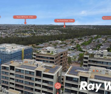 LUXURIOUS NORTH FACING DUAL LEVEL RESIDENCE | Brand New & Walking D... - Photo 5