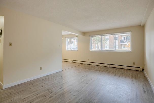 Elmwood II - Photo 1