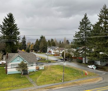 Bachelor Suite For Rent In Surrey/ Pets Allowed. - Photo 2