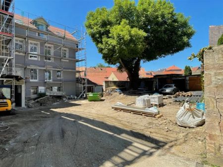 EUPORA® Immobilien: "Erstbezug", sanierte Wohnung in der Altstadt in Kirchheimbolanden. - Foto 2