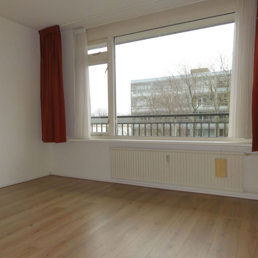 Appartement te huur: Boerhaavelaan 185 2334 EJ Leiden - Foto 1