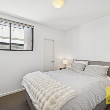 Spacious Furnished Apartment - Photo 4