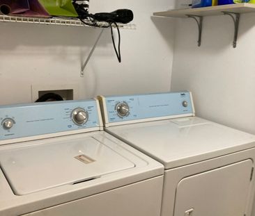 Rue St-André, H2L 3T9, Montréal - Photo 2