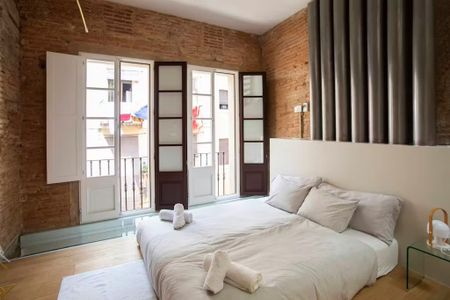 Carrer de les Basses de Sant Pere, Barcelona, Catalonia 08003 - Photo 5