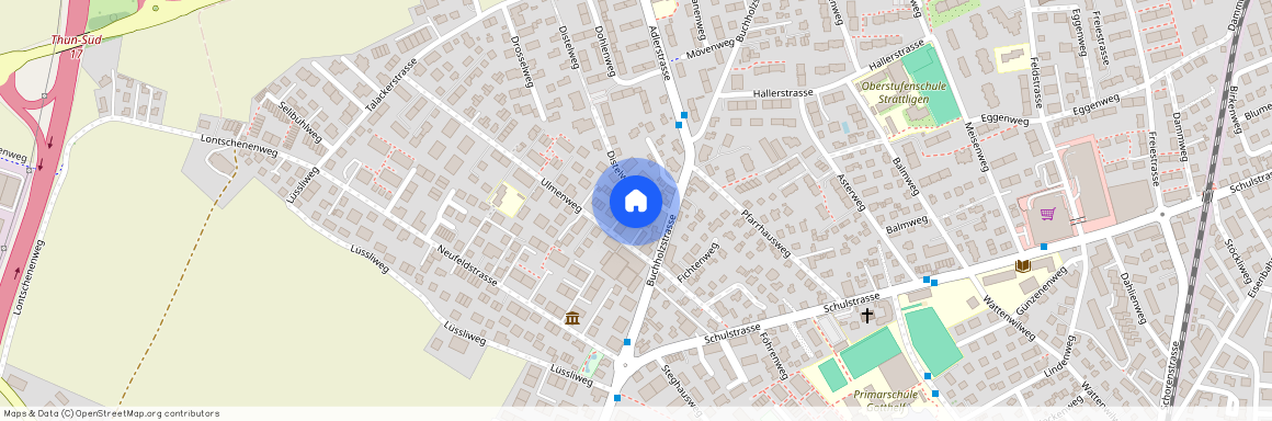 Ulmenweg 12 a, 3604 Thun