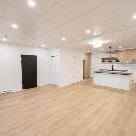 4 1/2 rénové à louer - Centre-ville St-Hyacinthe Condo / appartement / logement - Photo 4