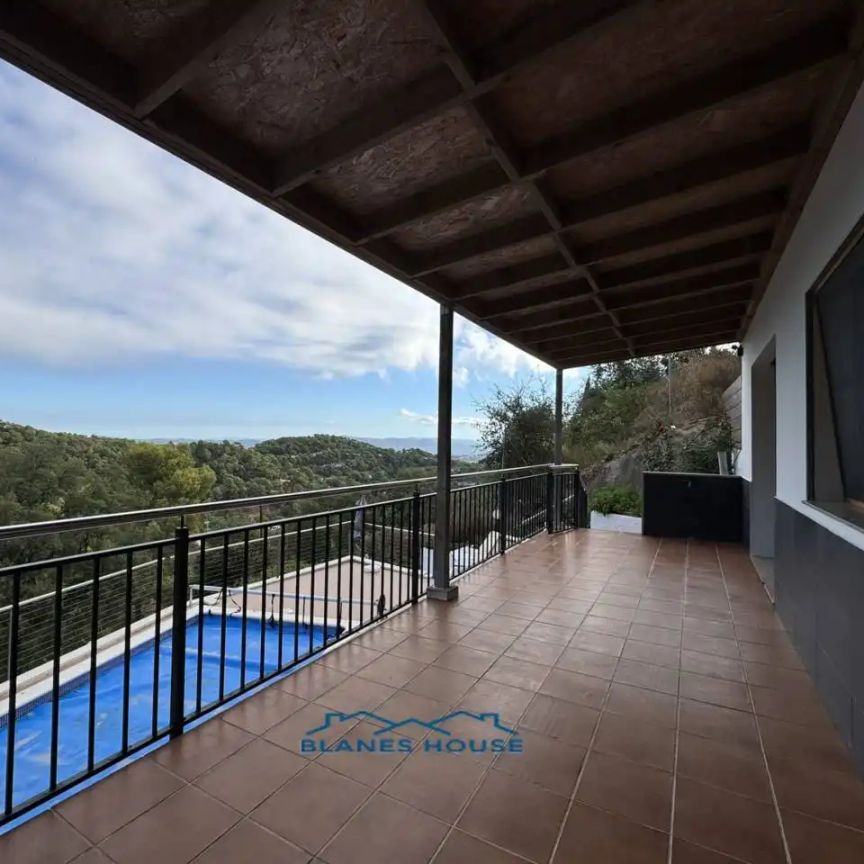 Palafolls - Photo 1