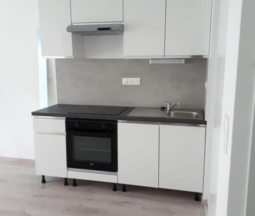 Location Appartement 2 pièces 38m² NANTES 44100 - Photo 1