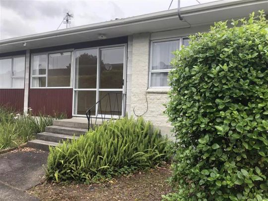 TIDY STUDIO FLAT IN MT EDEN - Photo 1