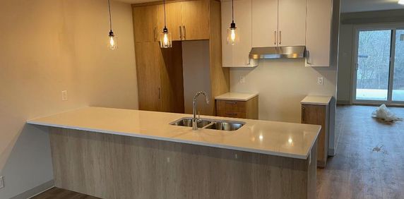 Appartement a louer avec GARAGE, Logement a louer, 5 1/2 a louer AVEC GARAGE, 450 rue AUDET, ST Cyrille - Photo 2