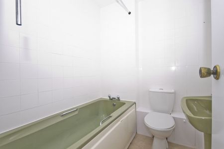 South Ash - Photo 2