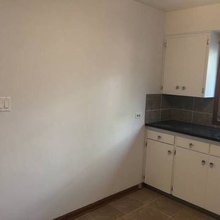 Spacious 2 bdrms walk up lower unit for rent near Stampede! - Photo 3