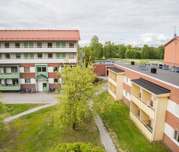 Ankarskatavägen 87 B, 94134, Piteå - Photo 1