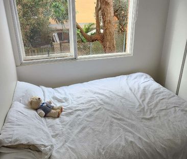 Dee Why - Photo 3