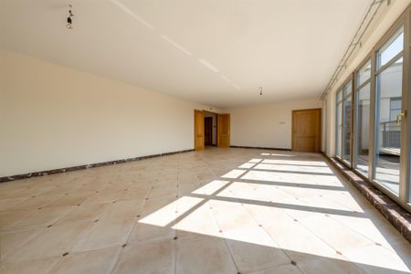 Avenue Jacques Brel, 1200, Woluwe-Saint-Lambert - Photo 3