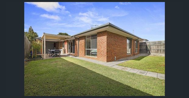 Spacious 4-Bedroom Home with Studio and Enclosed Yard! - Photo 1