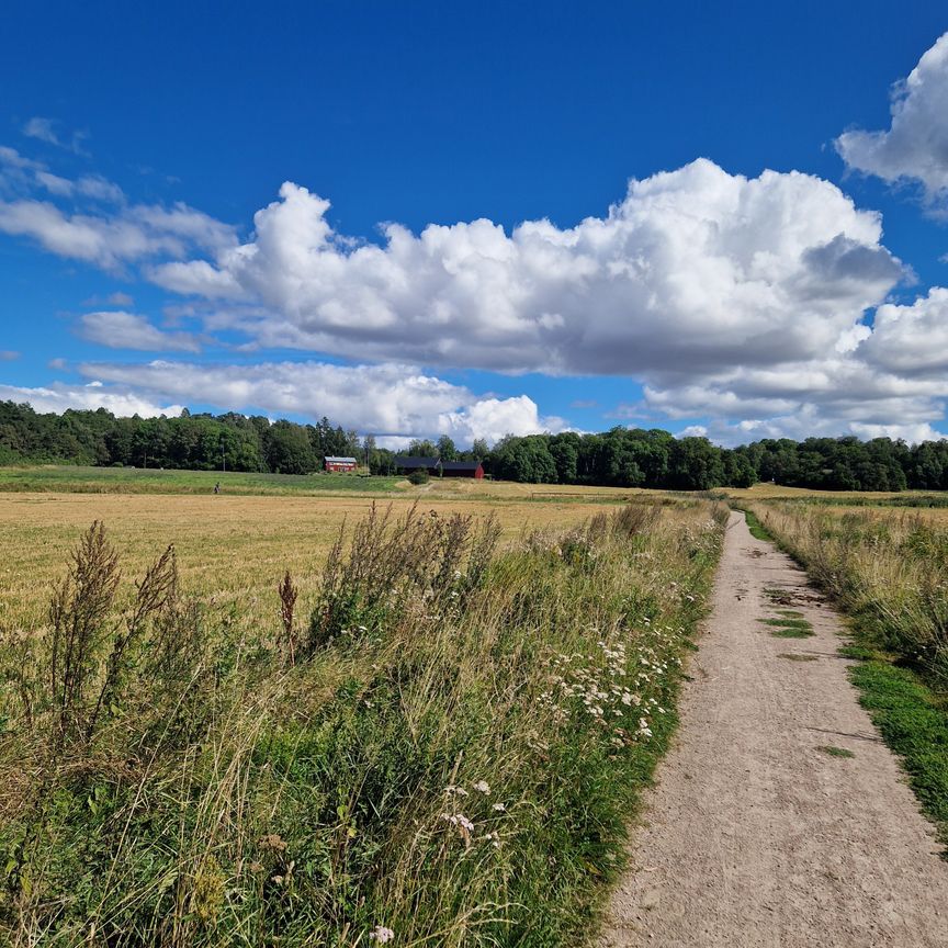August Södermans väg, Uppsala - Foto 2