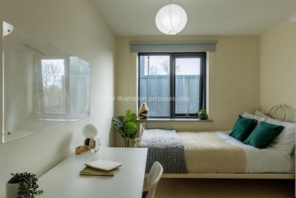 1 bedroom in a flat share to rent - Photo 1